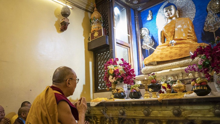 Su Santidad el Dalai Lama presentando sus respetos ante la estatua del Buda que se encuentra dentro de la estupa del Templo Mahabodhi en Bodhgaya, Bihar, India el 17 de enero de 2020. Foto de Tenzin Choejor