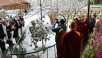 Nieve en Dharamsala