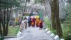 Ofrenda de larga vida del Monasterio de Namgyal para Su Santidad - Dharamsala, HP, India