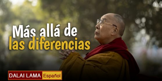 Más allá de las diferencias